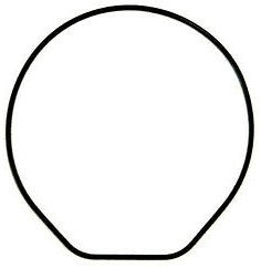 10395345.jpg