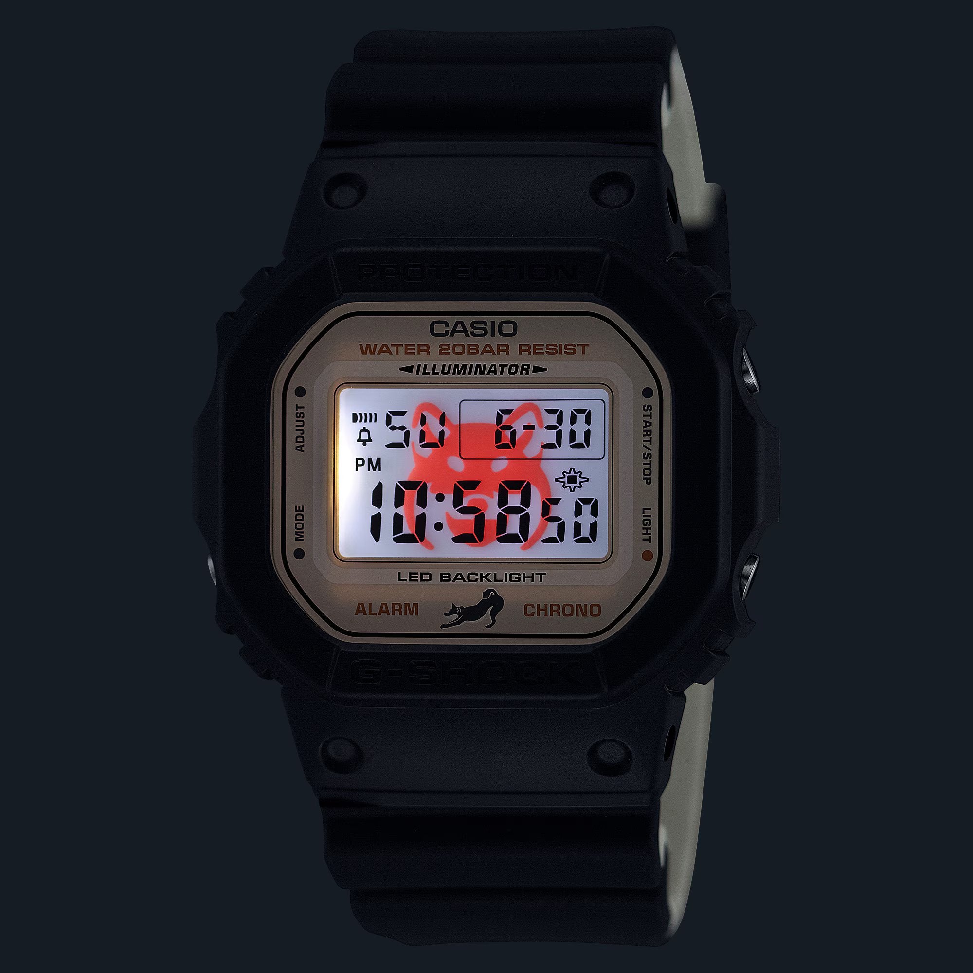 G-Shock DW5600SHB-1D