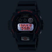 G-Shock DW6900TR-1D