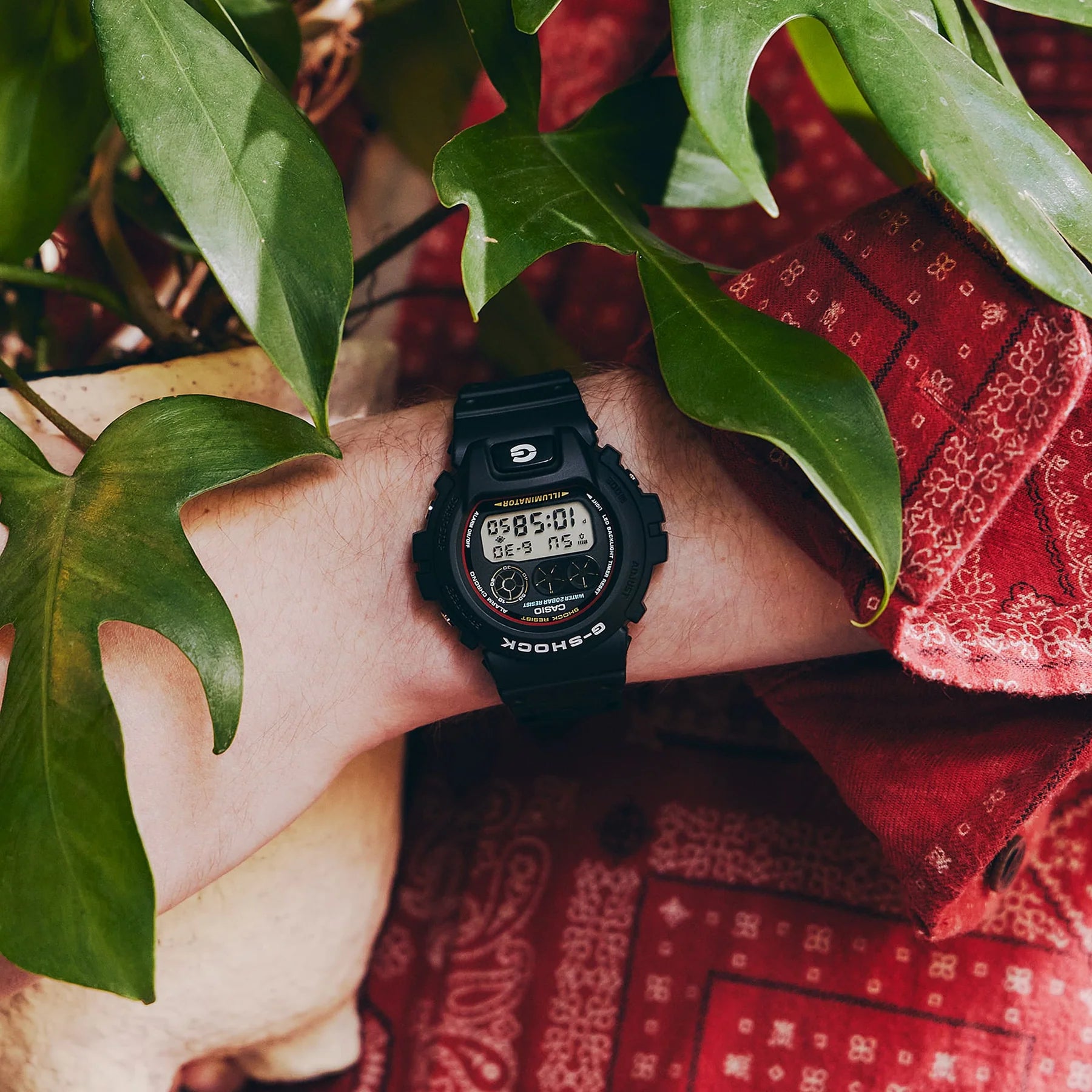 G-Shock DW6900RL-1D